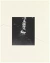 GOSSAGE, JOHN. The Things that Animals Care About, And.
